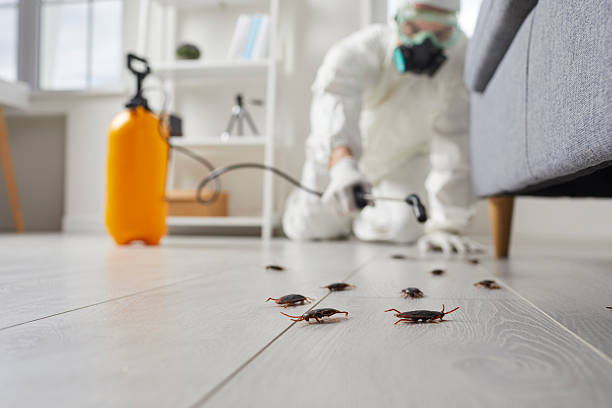 Post-Treatment Bed Bug Interceptor Monitoring in Wildwood