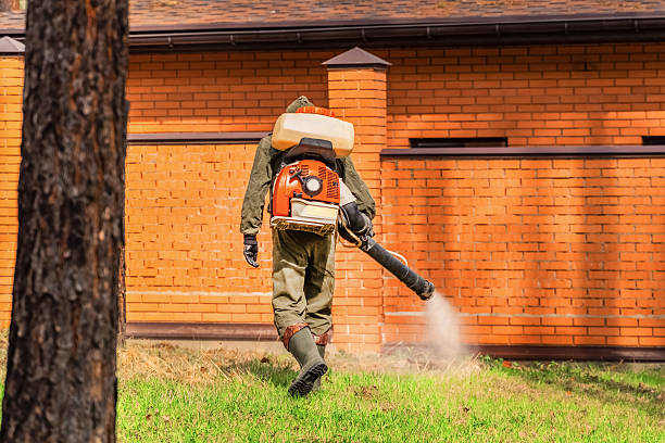 Bed Bug Clearance Verification and Documentation in Wildwood